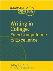 Writing in College: From Competence to Excellence