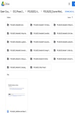 American Federal Government