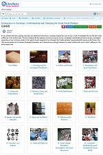 Introduction to Sociology: Understanding and Changing the Social World (Barkan) (LibreTexts)