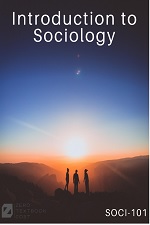 Introduction to Sociology (College of the Canyons)