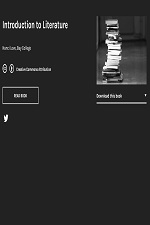 Introduction to Literature (Bay College)